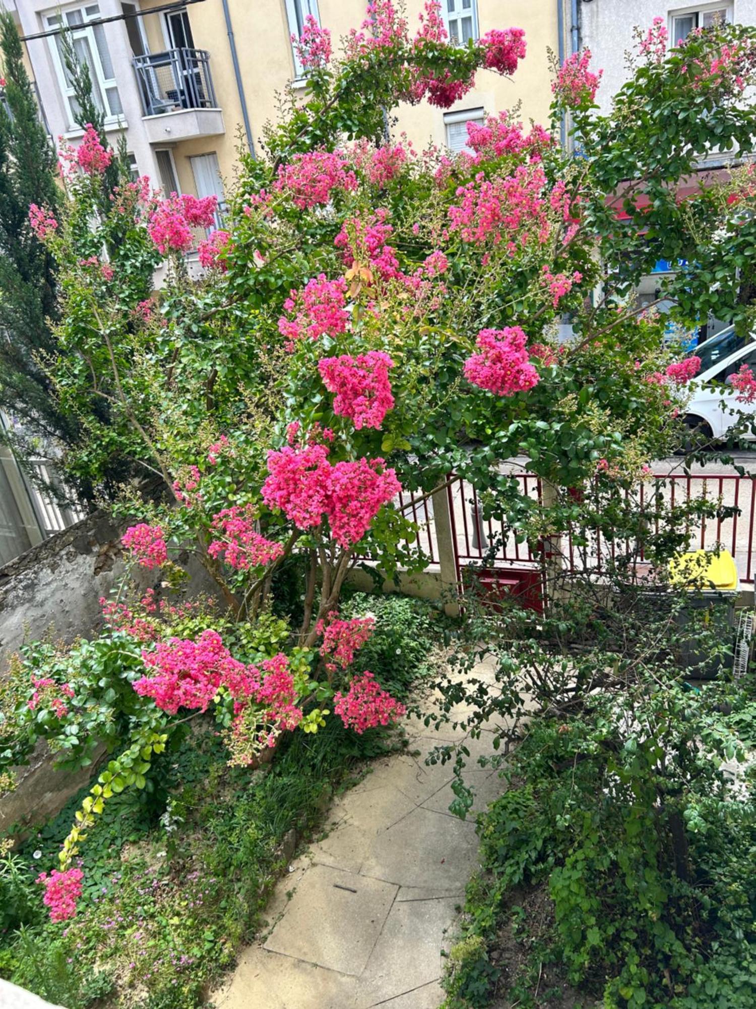 F3 Au Grenier D'Une Maison Massy  Exterior foto